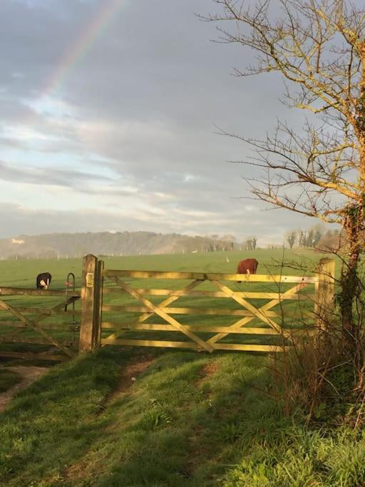 Frog Firle View Villa Alfriston Exterior photo